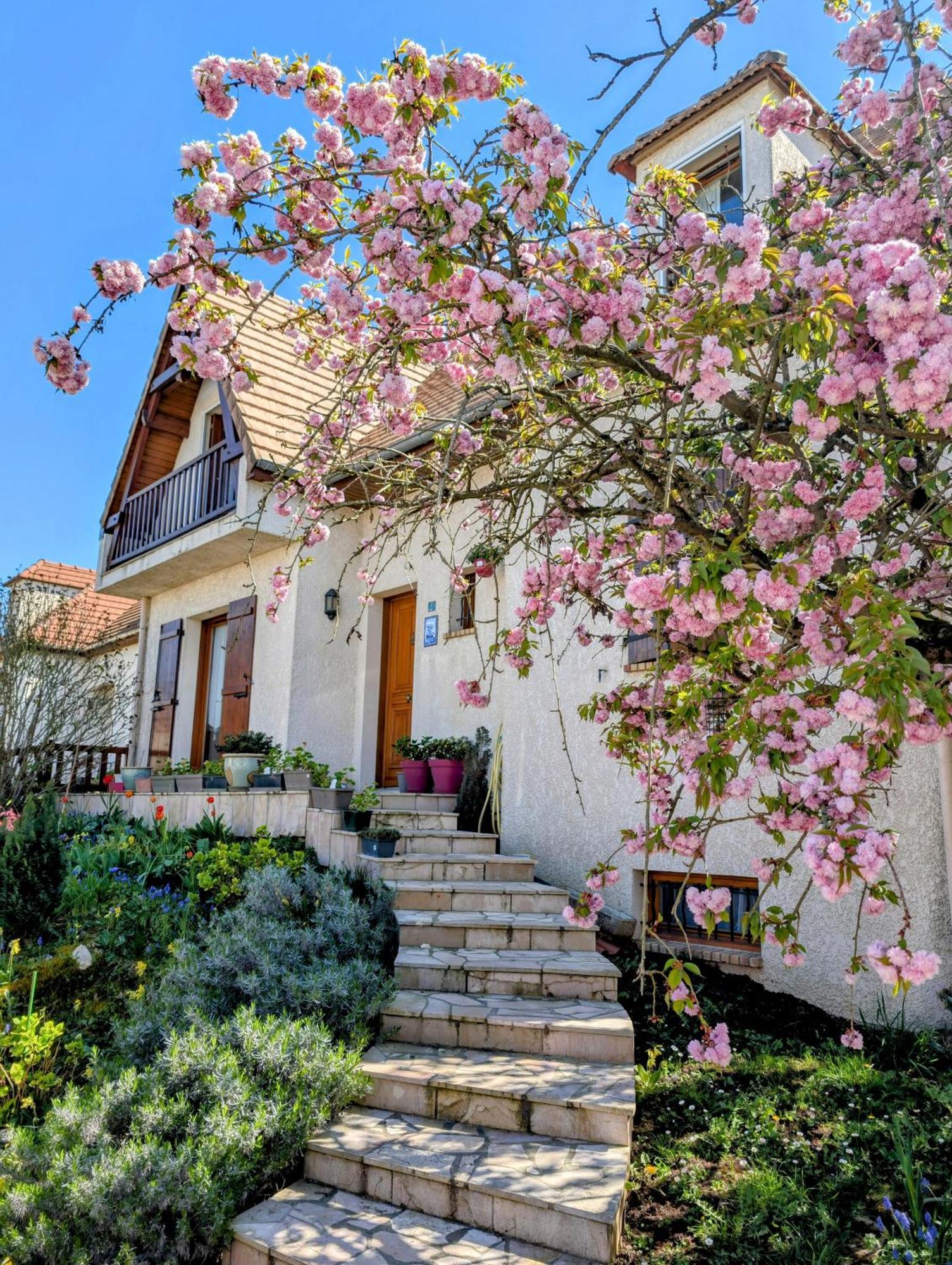 3 Chambres-Disneyland Paris Saint-Thibault-des-Vignes Ngoại thất bức ảnh